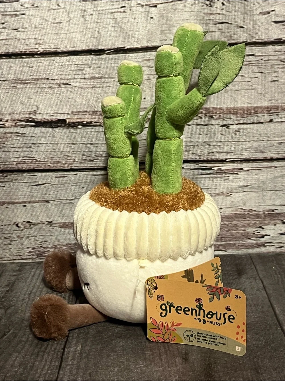 New!! Greenhouse by RUSS plush bamboo planter “Malia” cream pot